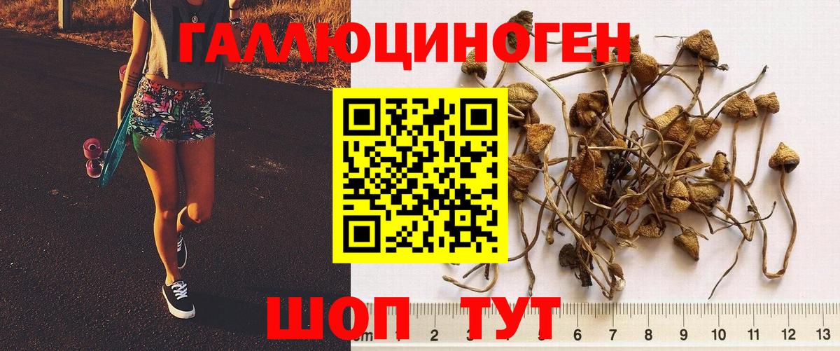 Галлюциногенные грибы Psilocybine cubensis  Вход с VPN  Кемерово  Галлюциногенные грибы Cubensis 