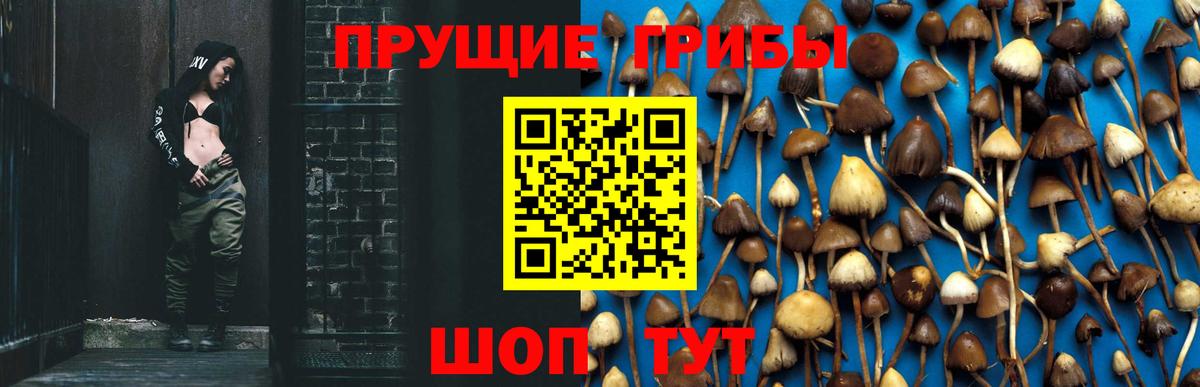 Галлюциногенные грибы ЛСД Кемерово